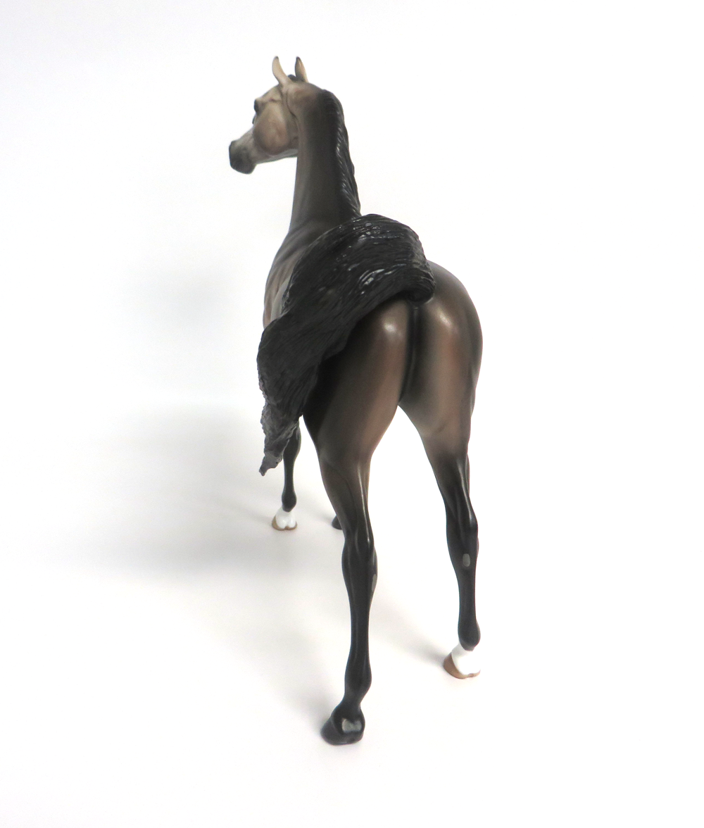 JOHNNY TREMAN- OOAK BAY GOING GREY ARABIAN BY SHERYL LEISURE 3-15-19