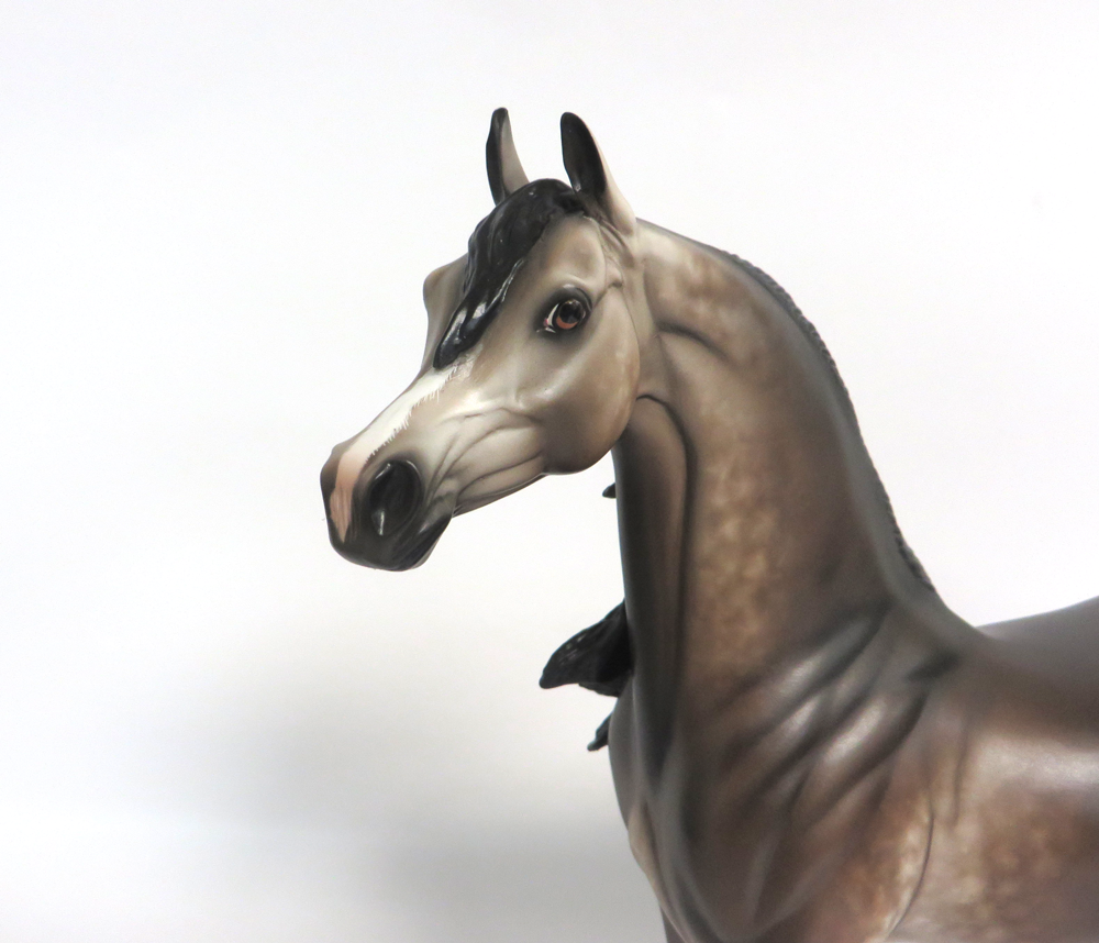 JOHNNY TREMAN- OOAK BAY GOING GREY ARABIAN BY SHERYL LEISURE 3-15-19