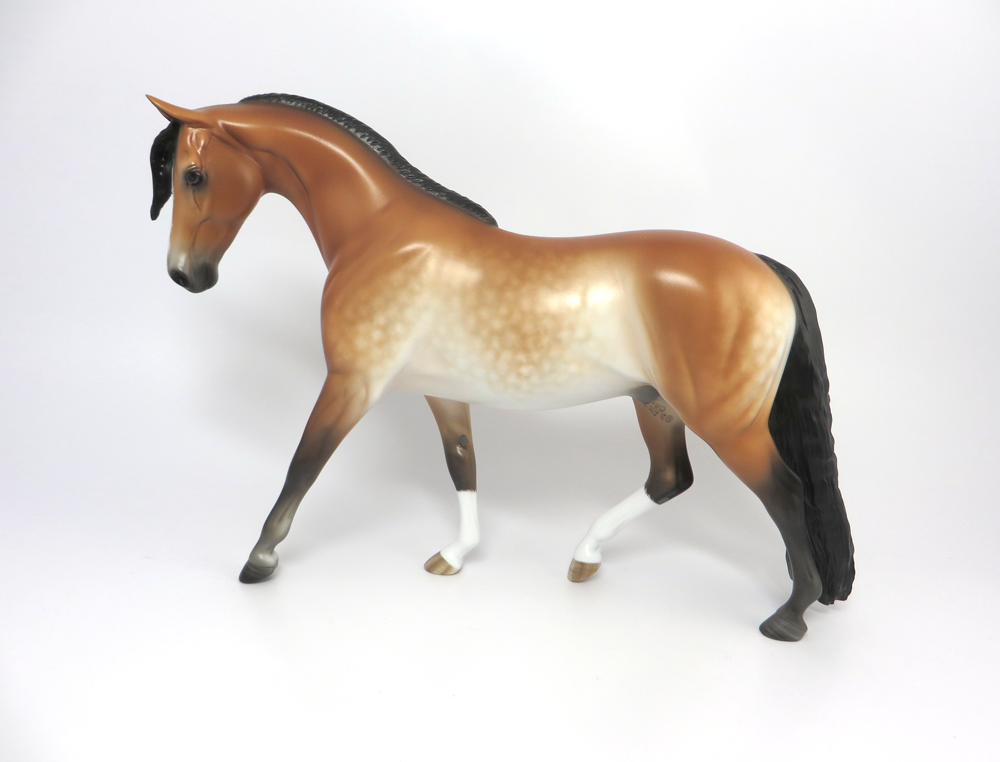 Tag Long Dapples Bay Pangare