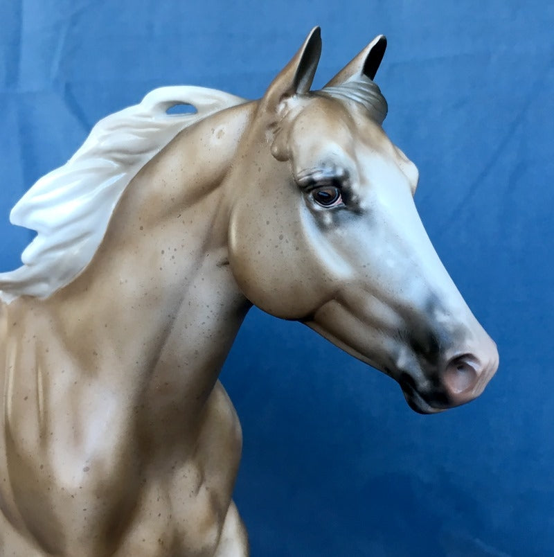 BE COLORFUL-OOAK BAY APPALOOSA FOUNDATION QUARTER HORSE 4/24/20