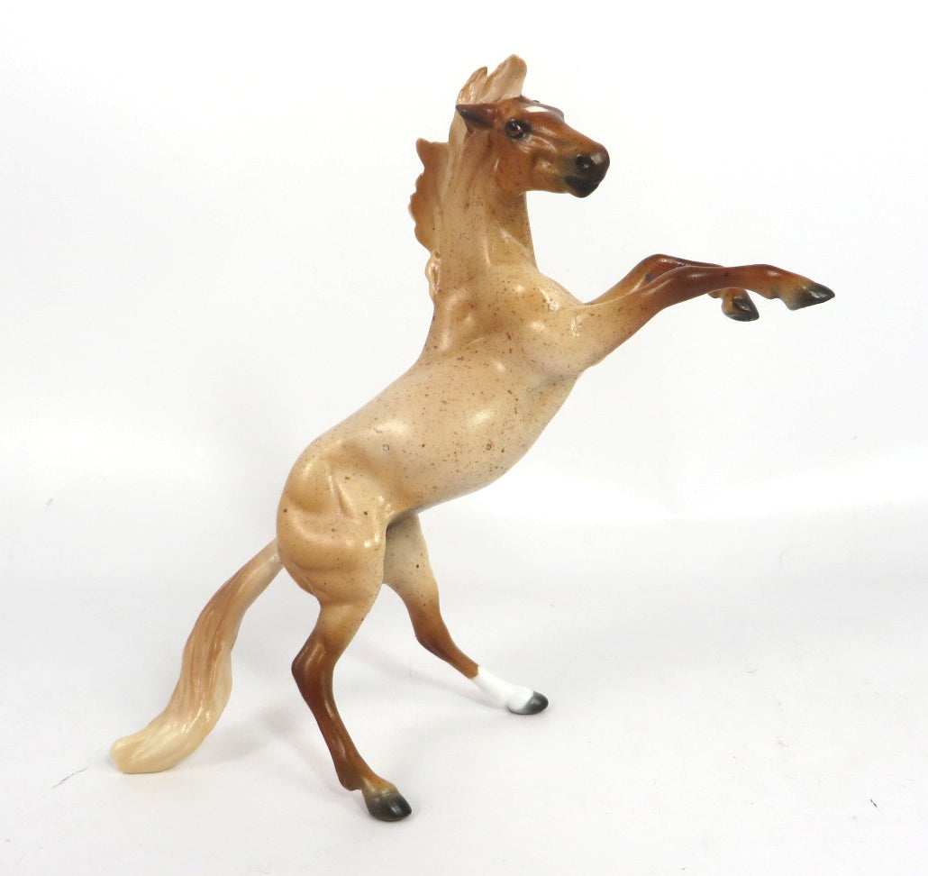 BE BRIGHT -- OOAK RED ROAN REARING CHIP BY DAWN QUICK WHS 19