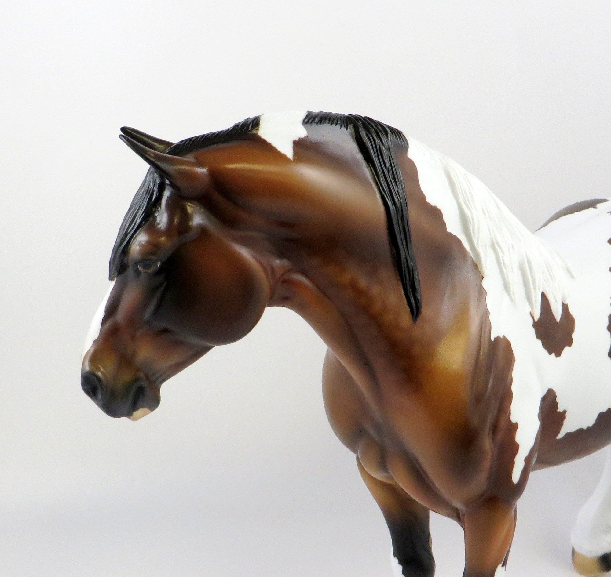 BEATHA-OOAK DAPPLE BAY TOBIANO HEAVY DRAFT MARE EQ 2019
