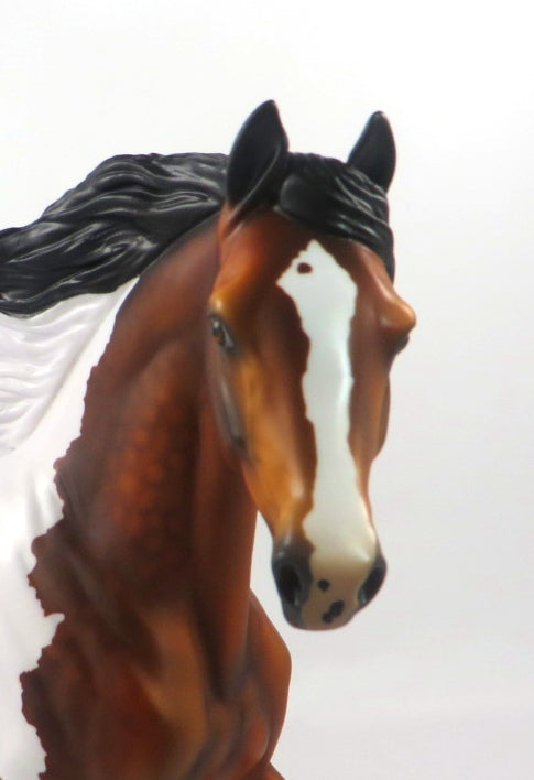 BEAUTY&#39;S STAR-OOAK DAPPLE BAY PINTO ARABIAN MARE BY AUDREY DIXON 1/3/20