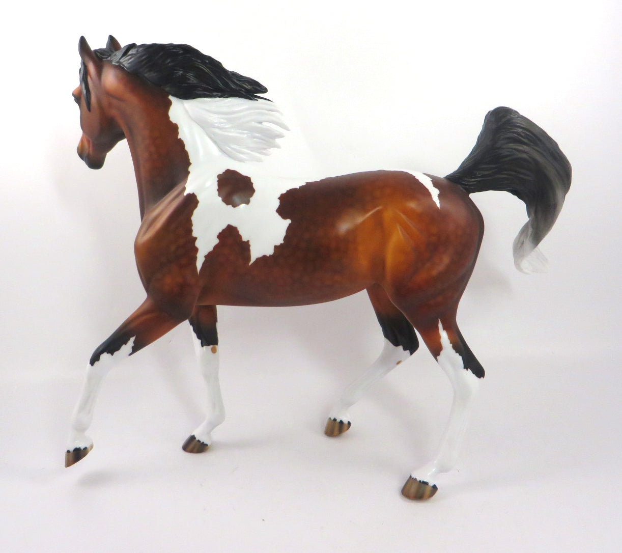 BEAUTY&#39;S STAR-OOAK DAPPLE BAY PINTO ARABIAN MARE BY AUDREY DIXON 1/3/20