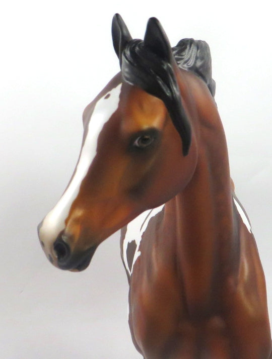 BEAUTY&#39;S STAR-OOAK DAPPLE BAY PINTO ARABIAN MARE BY AUDREY DIXON 1/3/20