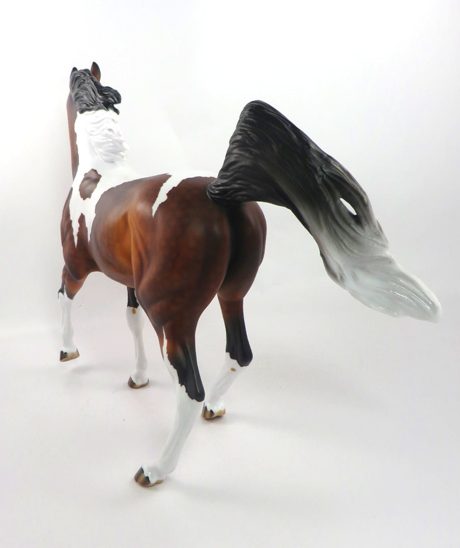 BEAUTY&#39;S STAR-OOAK DAPPLE BAY PINTO ARABIAN MARE BY AUDREY DIXON 1/3/20