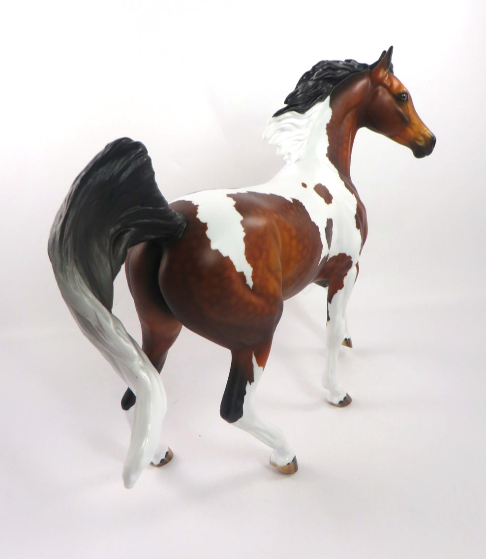 BEAUTY&#39;S STAR-OOAK DAPPLE BAY PINTO ARABIAN MARE BY AUDREY DIXON 1/3/20