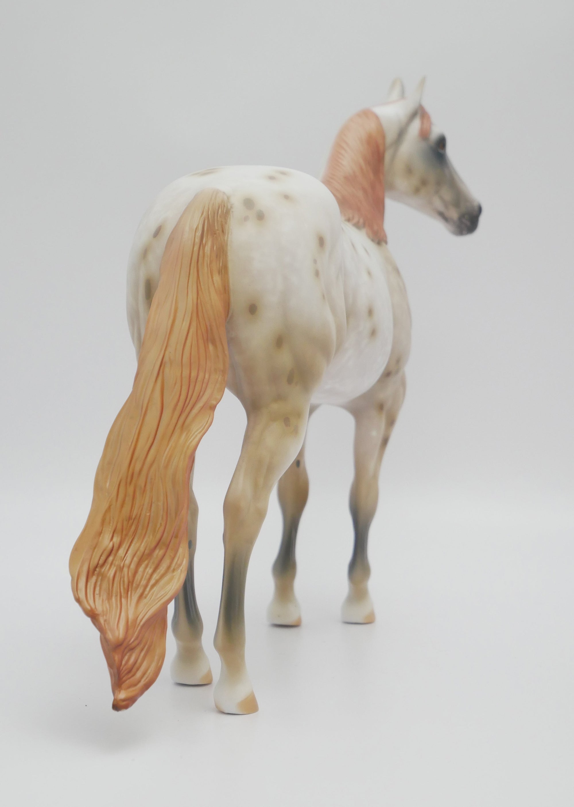 BEAUTY&#39;S STAR-OOAK APPALOOSA ISH MODEL HORSE 3/13/20