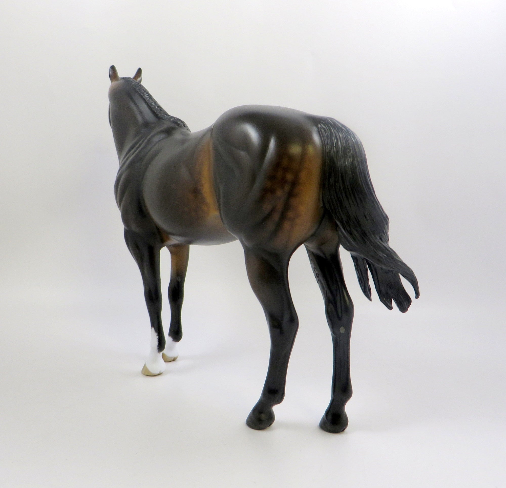 BE EAGER-OOAK DAPPLE SEAL BAY ISH MODEL HORSE BY SHERYL LEISURE 6/21