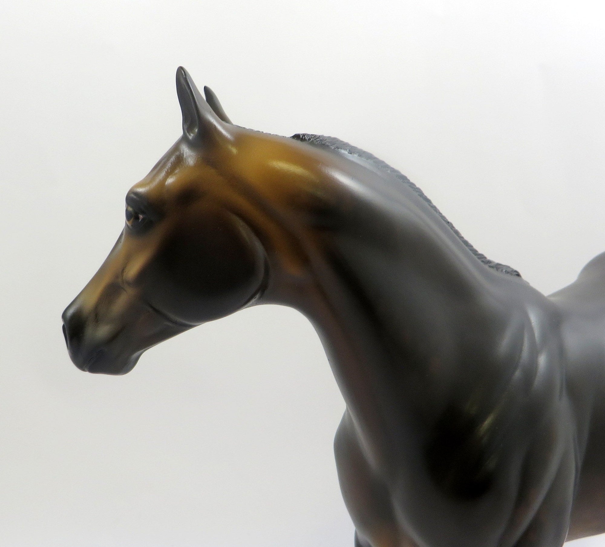 BE EAGER-OOAK DAPPLE SEAL BAY ISH MODEL HORSE BY SHERYL LEISURE 6/21