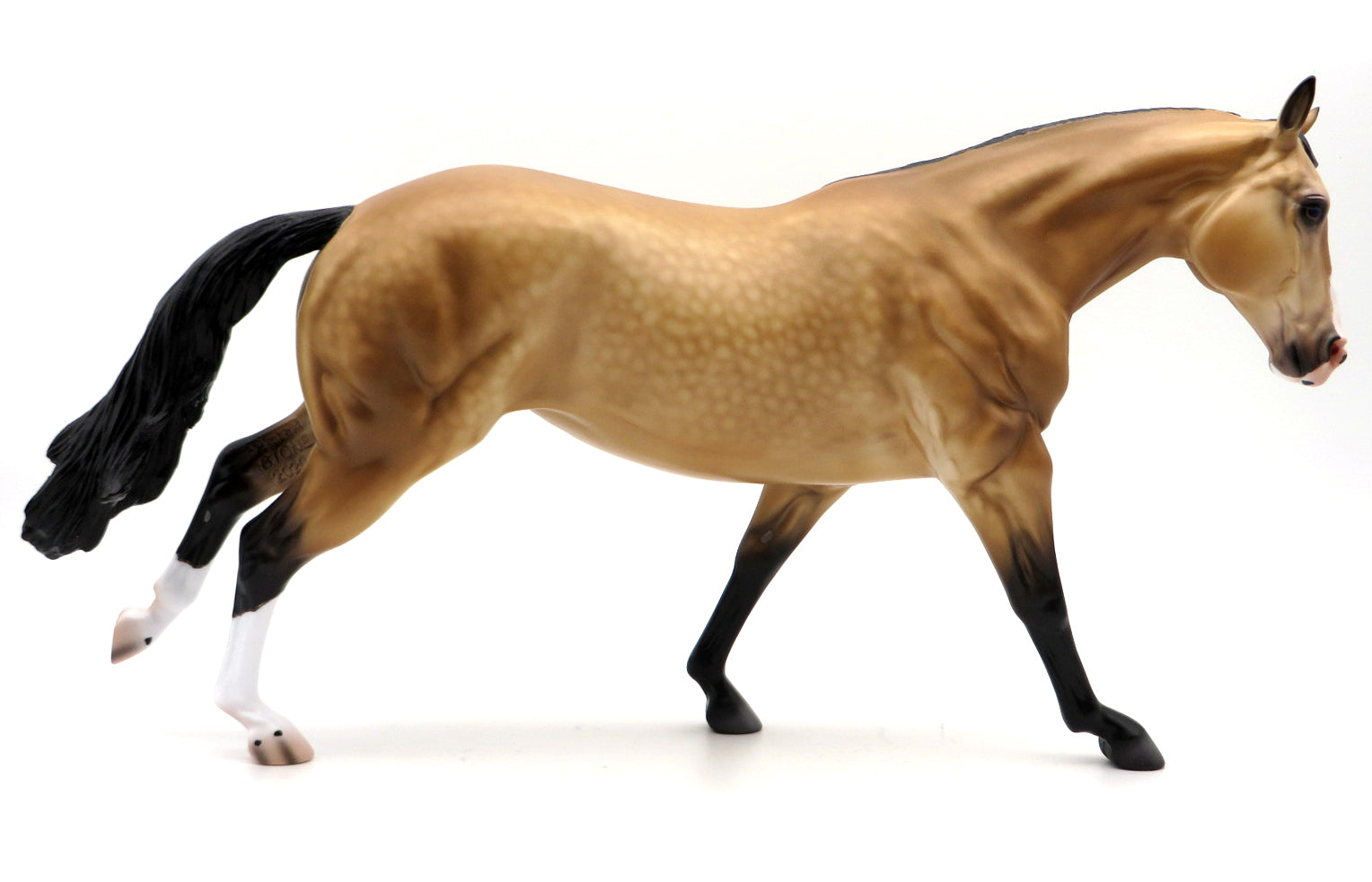 Belmont-OOAK Buckskin Running Stock Horse by Caroline Boydston 10/4/21