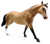 Belmont-OOAK Buckskin Running Stock Horse by Caroline Boydston 10/4/21