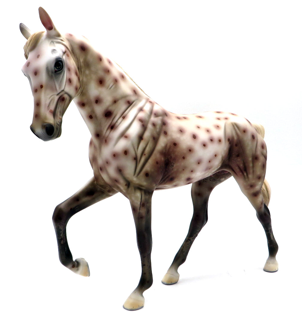 Biohazard - OOAK Appaloosa TWH Painted by Al Katt MM 21