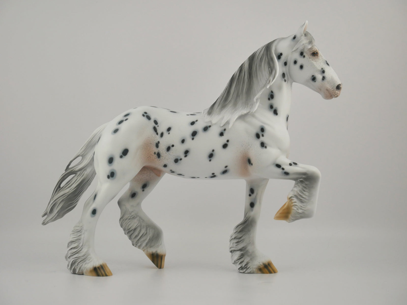 BISTRE-OOAK LOUD APPALOOSA TROTTING DRAFT BY DAWN QUICK
