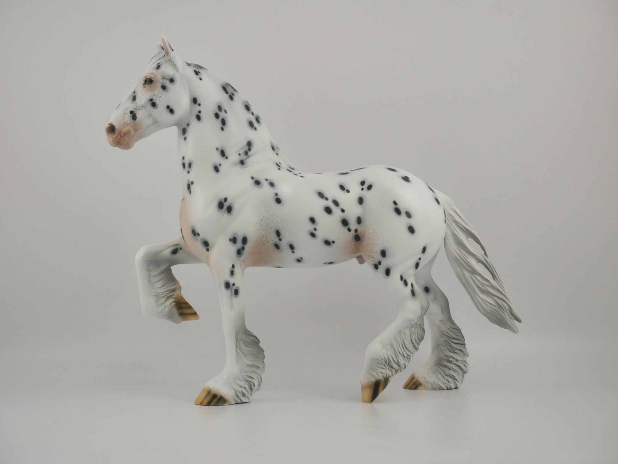 BISTRE-OOAK LOUD APPALOOSA TROTTING DRAFT BY DAWN QUICK