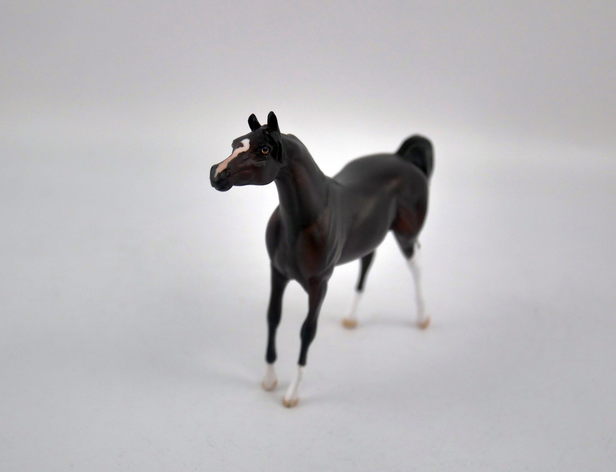 Bitter-OOAK Arabian Chip By Kayla