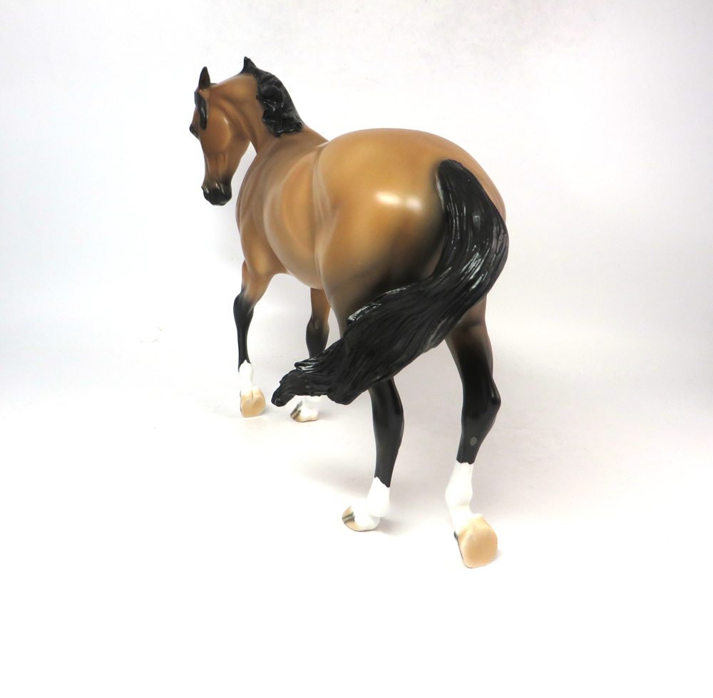EXPECT VICTORY- OOAK CM BUCKSKIN THOROUGHBRED SB19