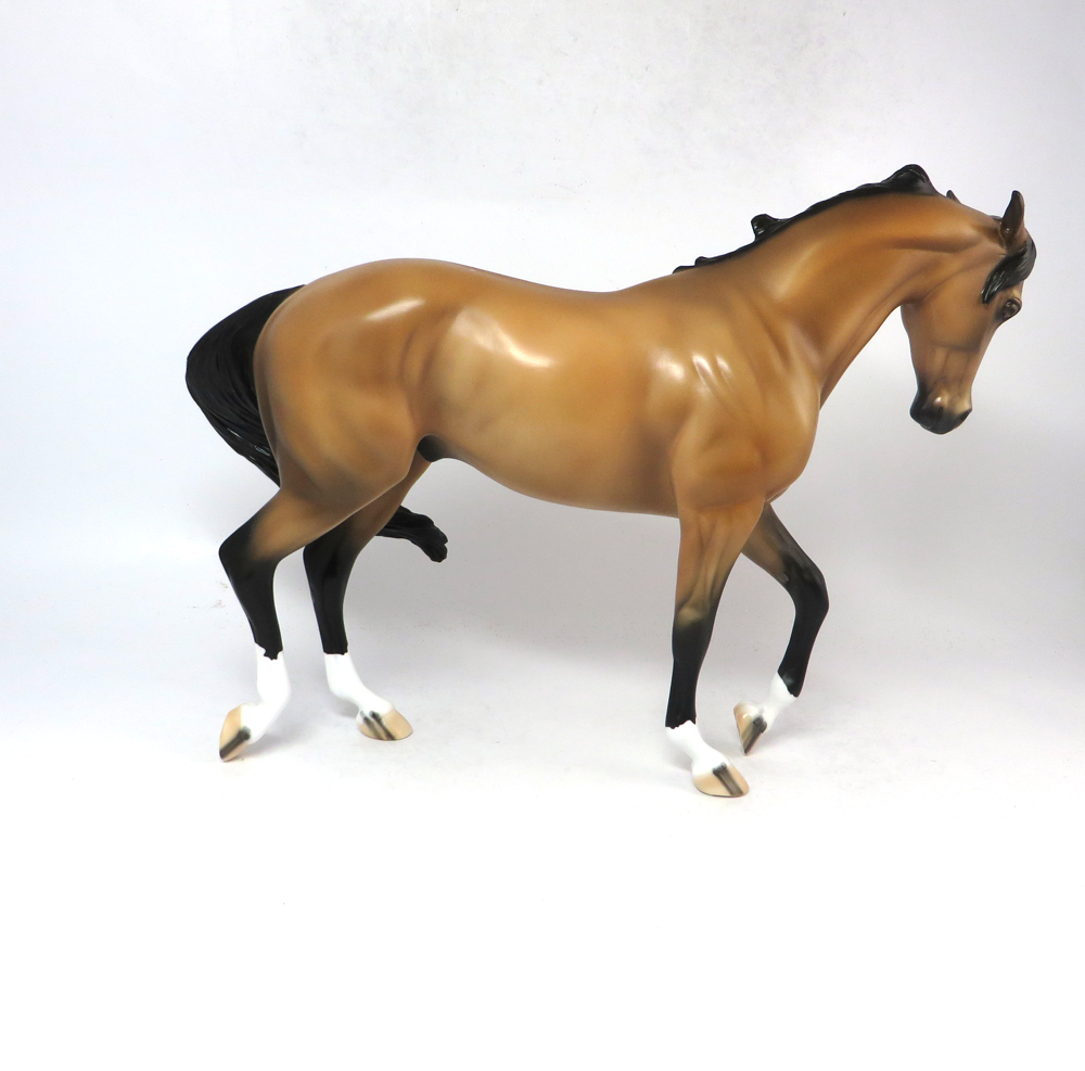 EXPECT VICTORY- OOAK CM BUCKSKIN THOROUGHBRED SB19