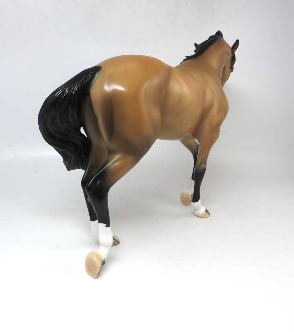 EXPECT VICTORY- OOAK CM BUCKSKIN THOROUGHBRED SB19