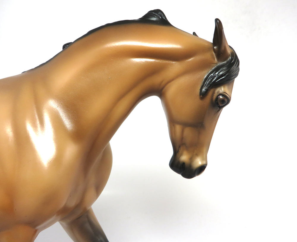 EXPECT VICTORY- OOAK CM BUCKSKIN THOROUGHBRED SB19