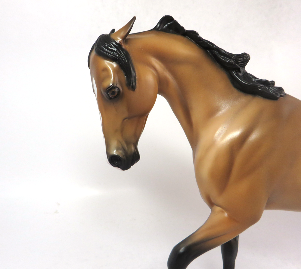 EXPECT VICTORY- OOAK CM BUCKSKIN THOROUGHBRED SB19