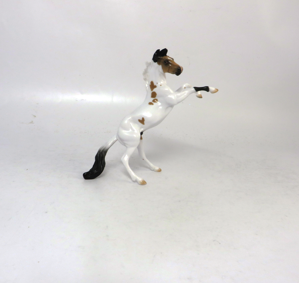 JERSEY - OOAK BUCKSKIN TOBIANO REARING CHIP BY AUDREY DIXON SB19