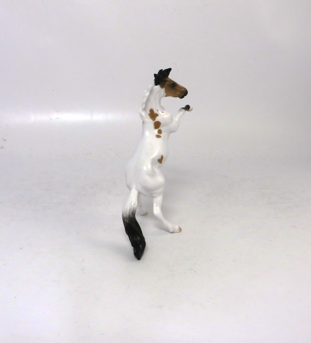 JERSEY - OOAK BUCKSKIN TOBIANO REARING CHIP BY AUDREY DIXON SB19