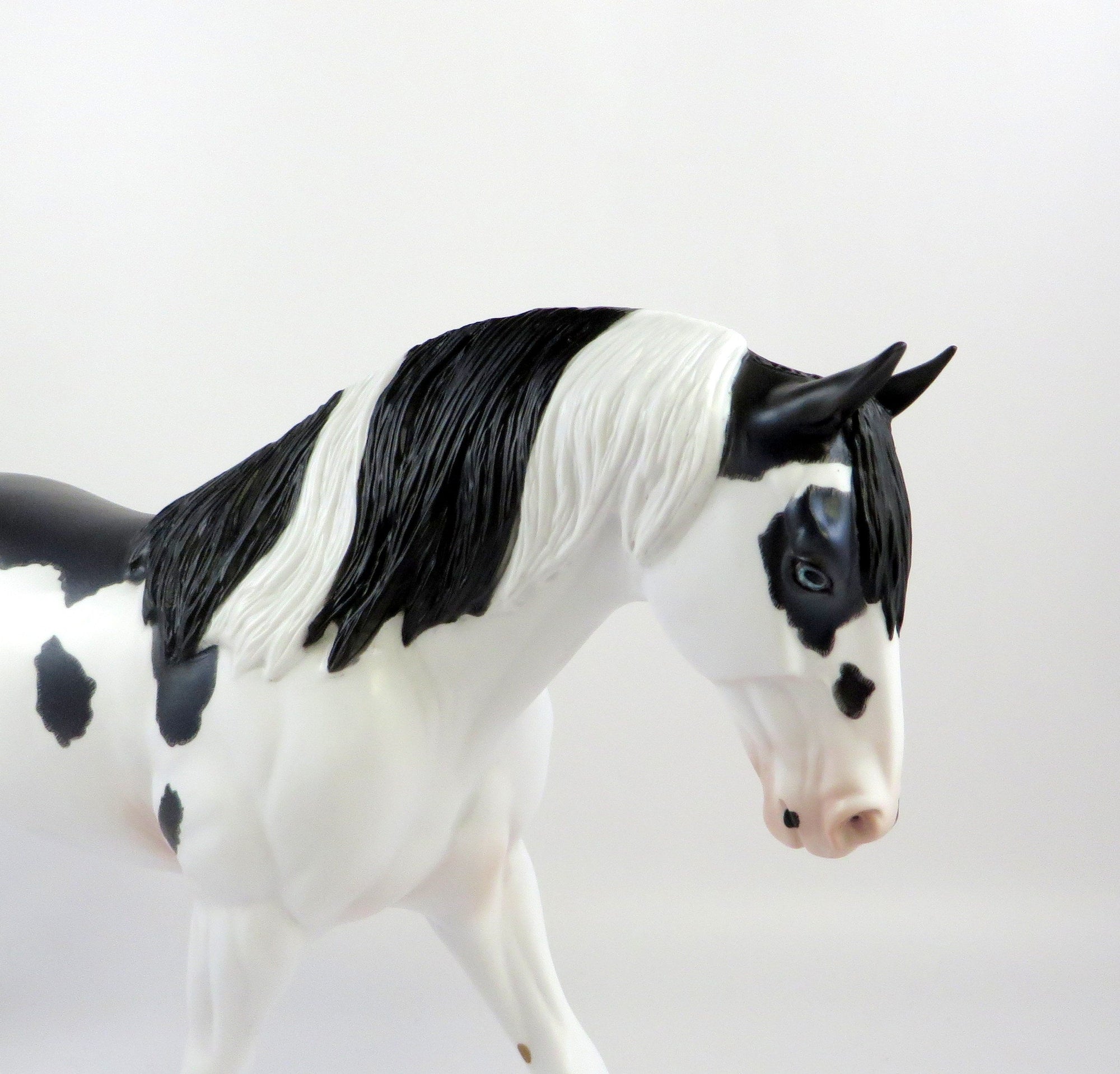 MORGANA-LE-20 BLACK OVERO IRISH DRAFT MODEL HORSE EQ 19