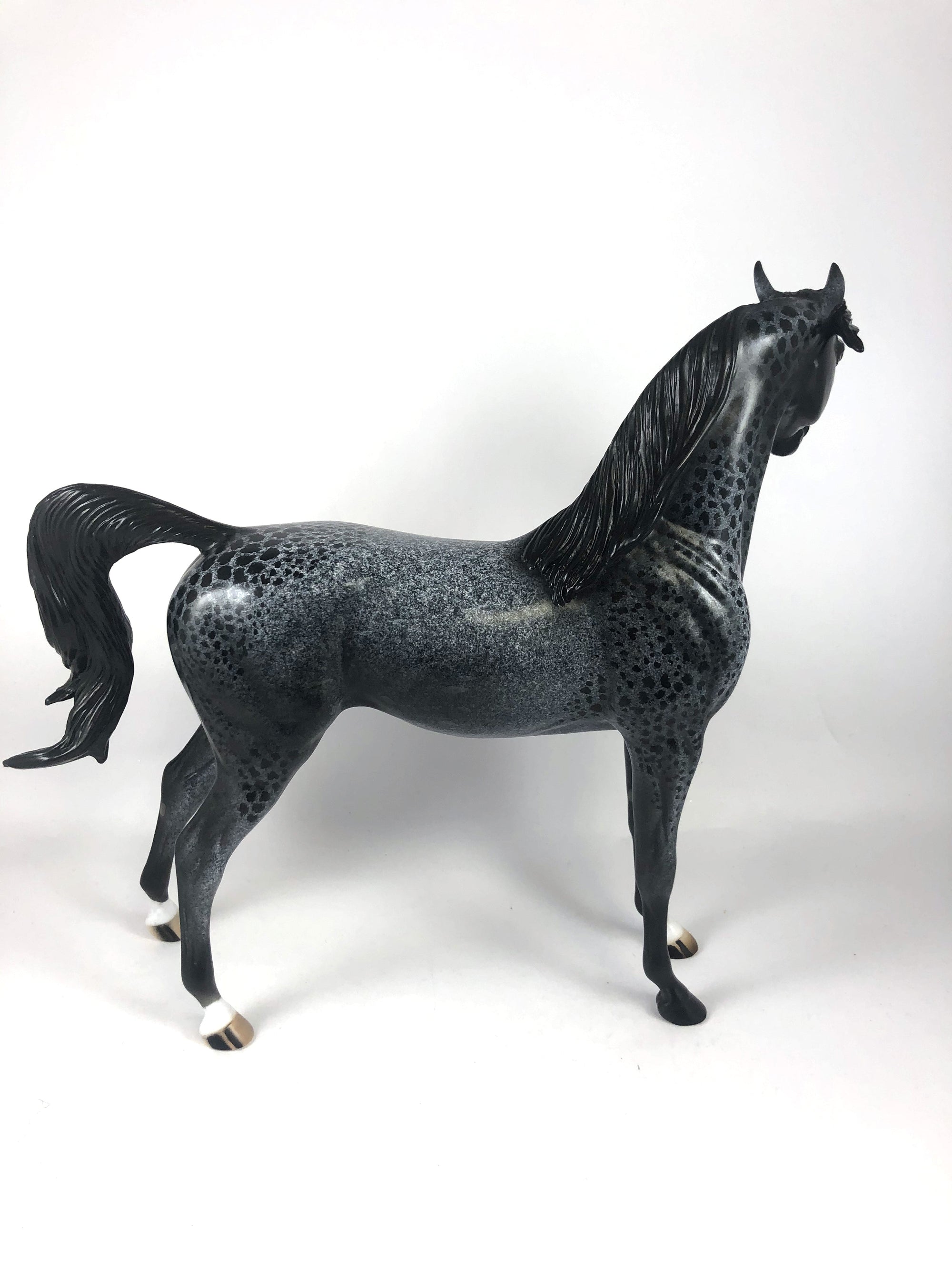 GHOULS BEST FRIEND -OOAK BLUE ROAN CM ARAB BY AL KATT MM19