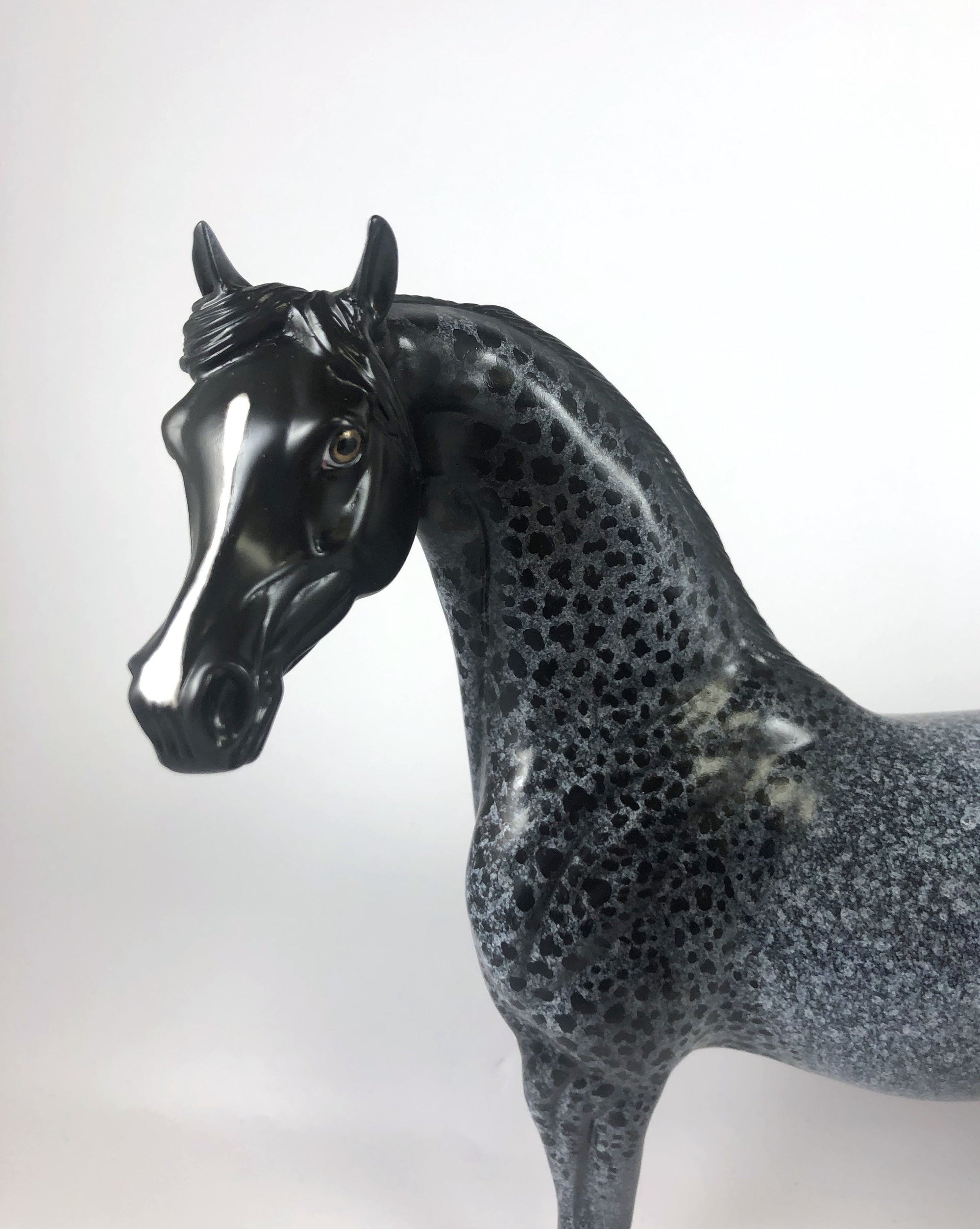 GHOULS BEST FRIEND -OOAK BLUE ROAN CM ARAB BY AL KATT MM19