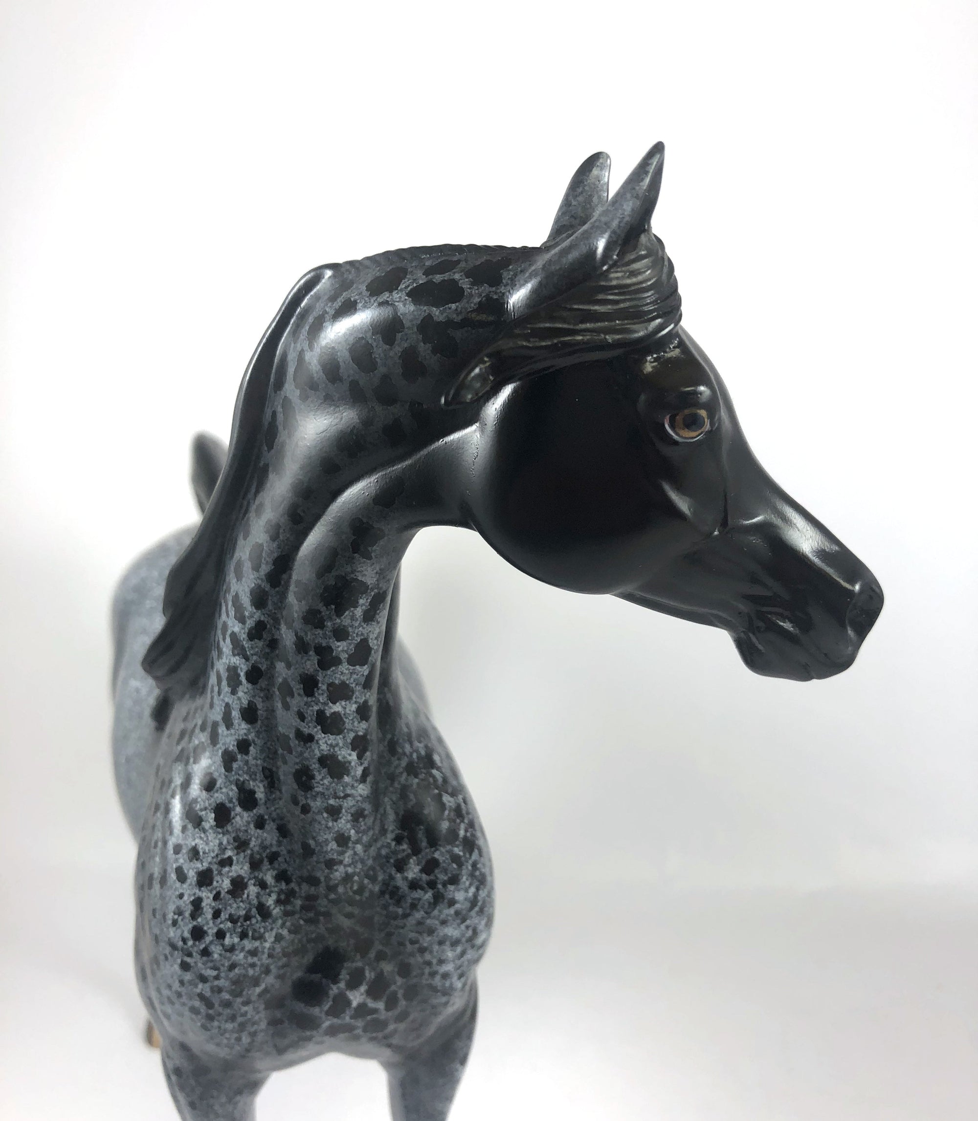 GHOULS BEST FRIEND -OOAK BLUE ROAN CM ARAB BY AL KATT MM19