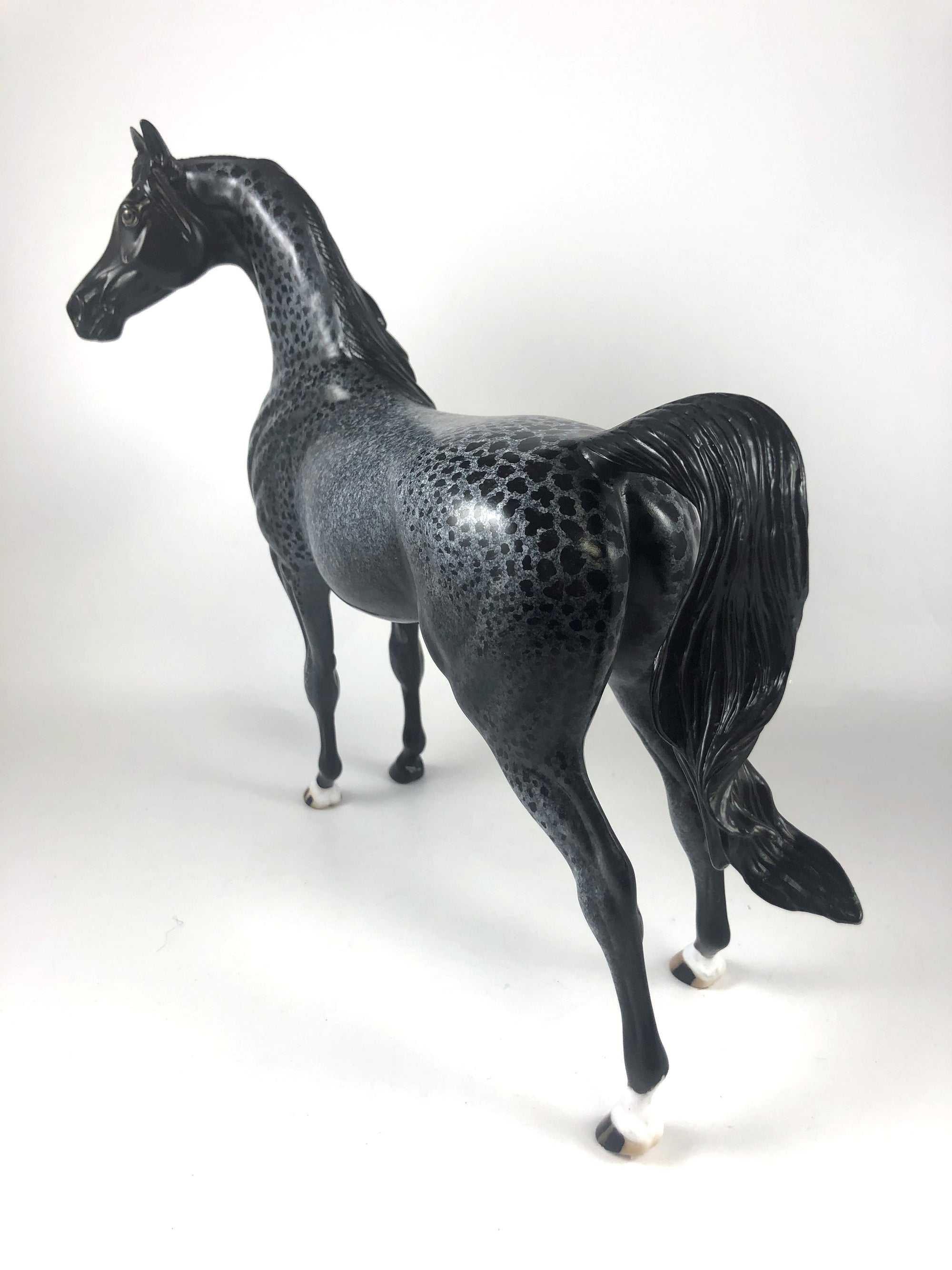 GHOULS BEST FRIEND -OOAK BLUE ROAN CM ARAB BY AL KATT MM19