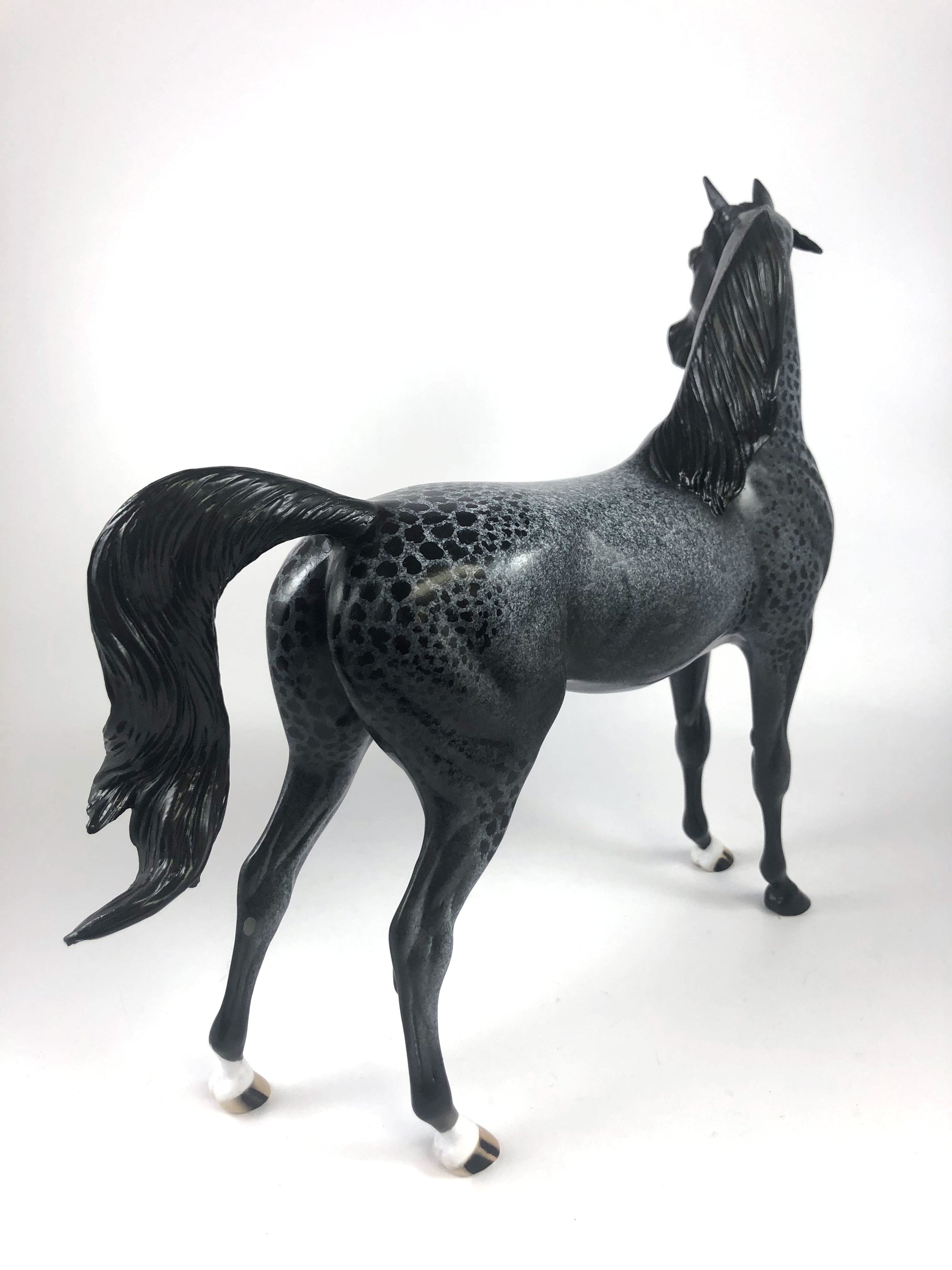 GHOULS BEST FRIEND -OOAK BLUE ROAN CM ARAB BY AL KATT MM19