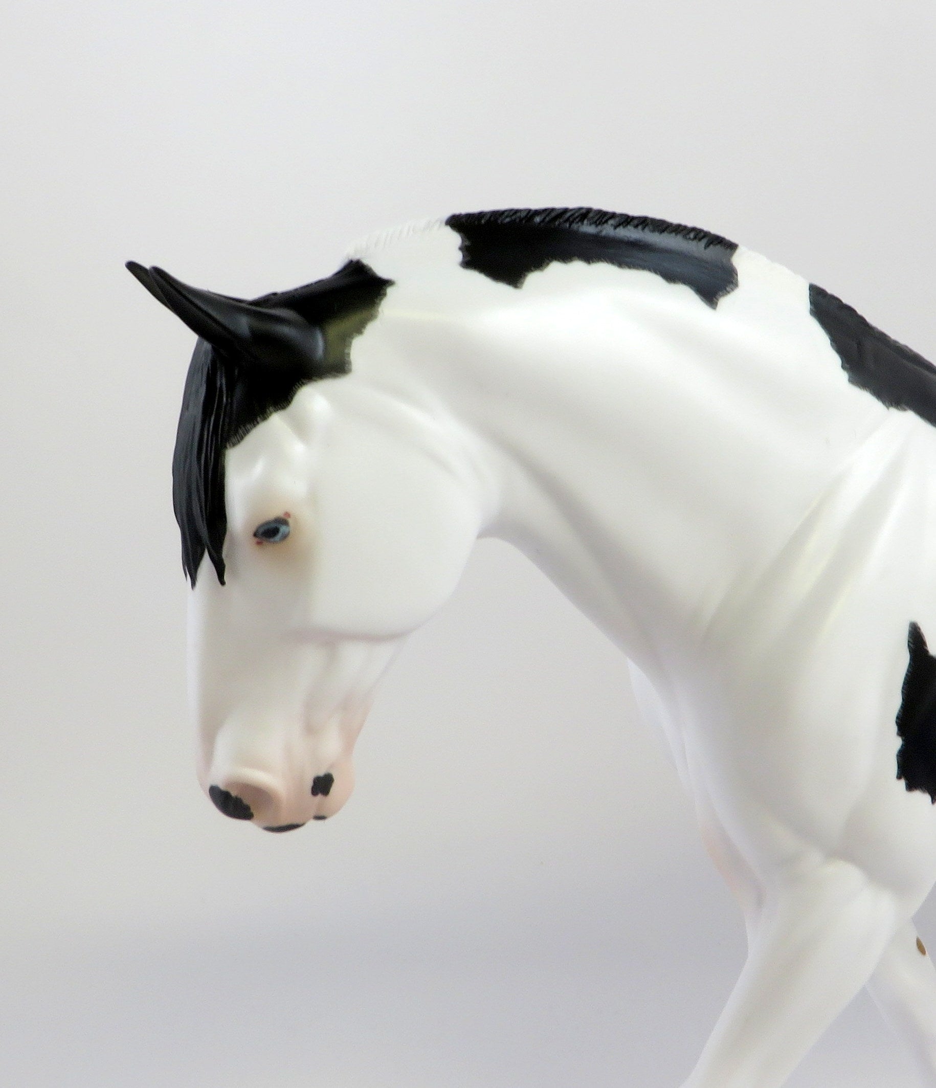 MORGANA-LE-20 BLACK OVERO IRISH DRAFT MODEL HORSE EQ 19