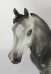 morgan horse 