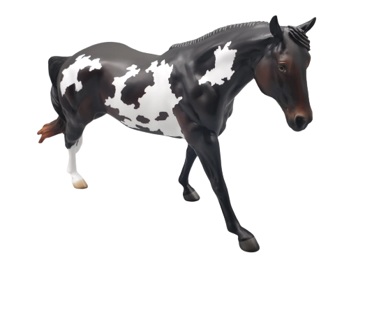 The Perfect Horse - Remy - Sunburned Black Variation of the Running Stock Horse MARE By Angela Marleau AoTH23