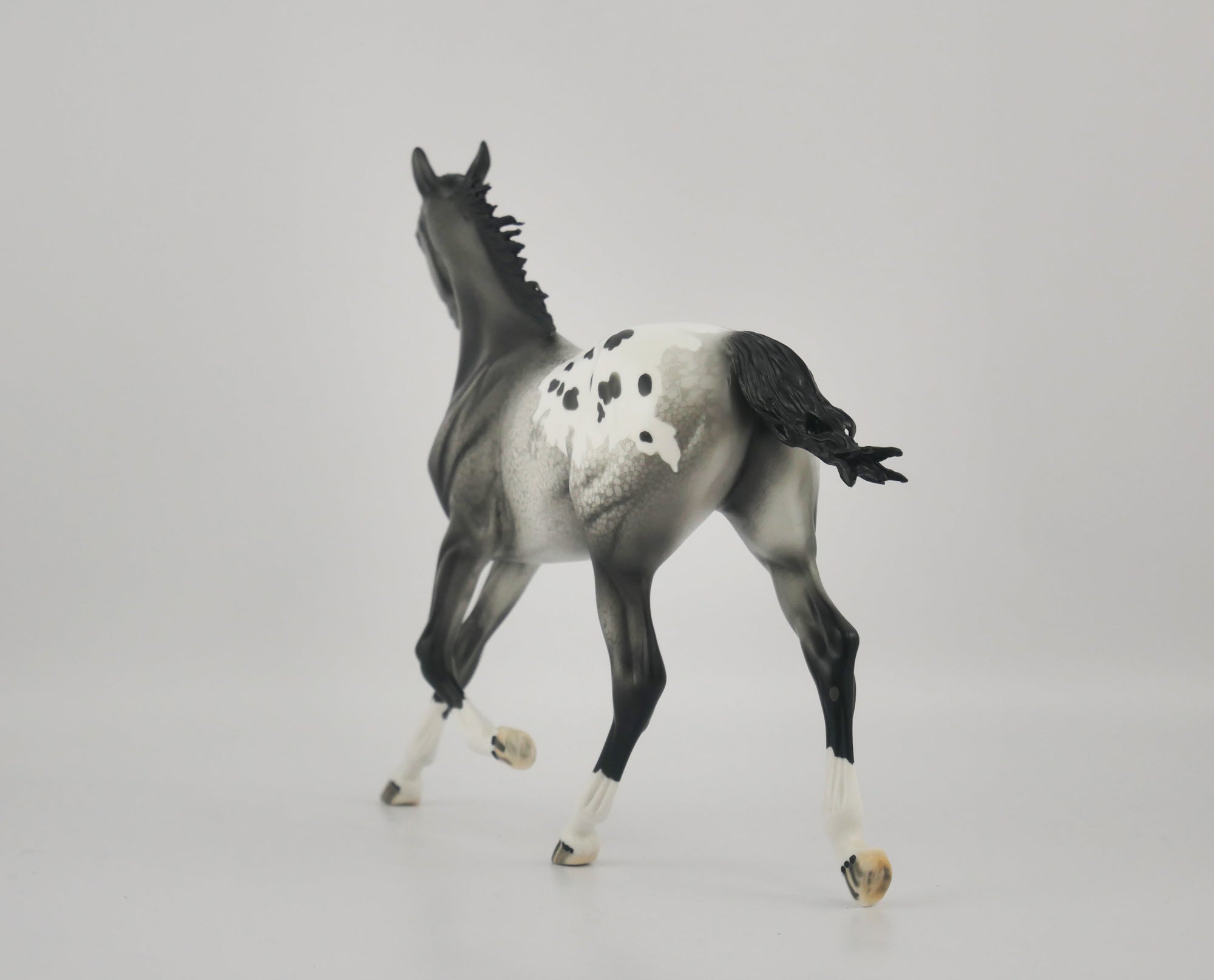 BLACK FOX-OOAK APPALOOSA YEARLING BY DAWN QUICK