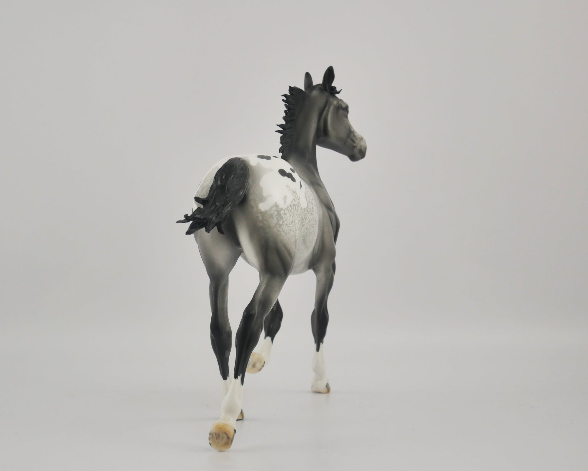 BLACK FOX-OOAK APPALOOSA YEARLING BY DAWN QUICK