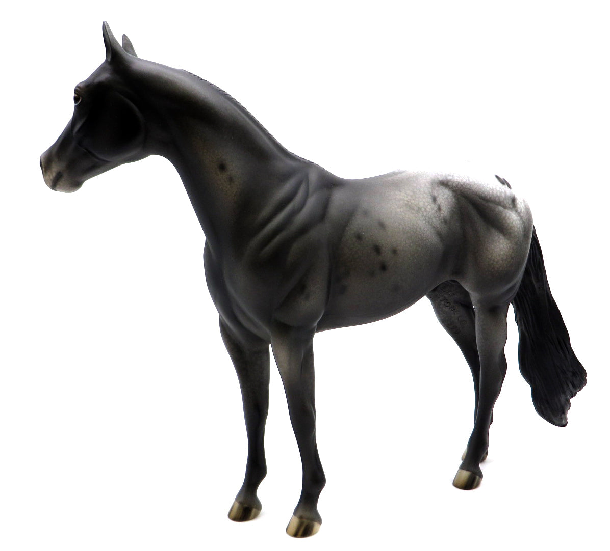 Black Ice - OOAK Black Appaloosa ISH by Jess Hamill - Holiday Sale 2021