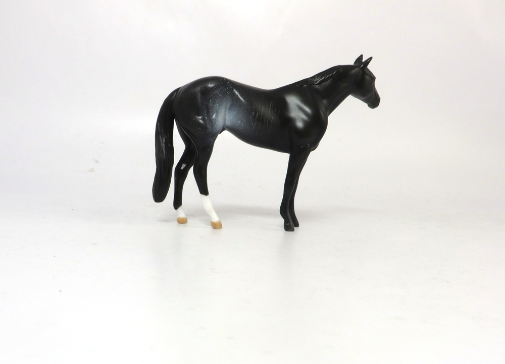 TAILGATING-OOAK- BLACK RABICANO STOCK CHIP BY AUDREY DIXON SB19