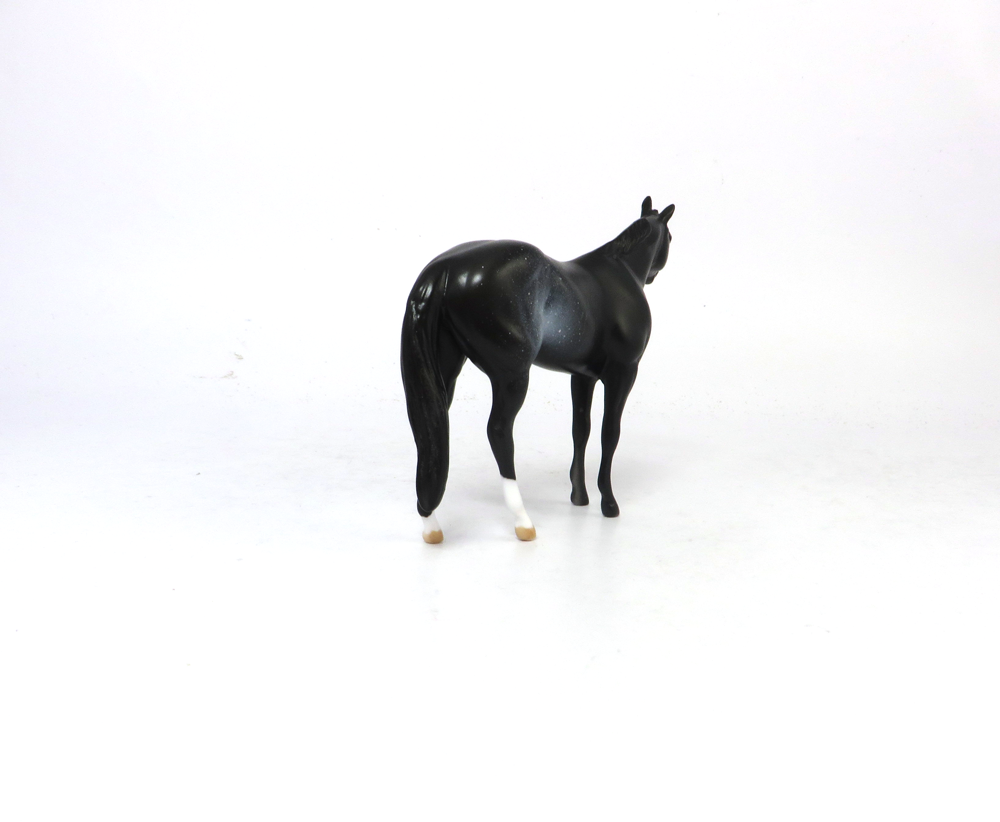 TAILGATING-OOAK- BLACK RABICANO STOCK CHIP BY AUDREY DIXON SB19