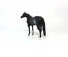 TAILGATING-OOAK- BLACK RABICANO STOCK CHIP BY AUDREY DIXON SB19
