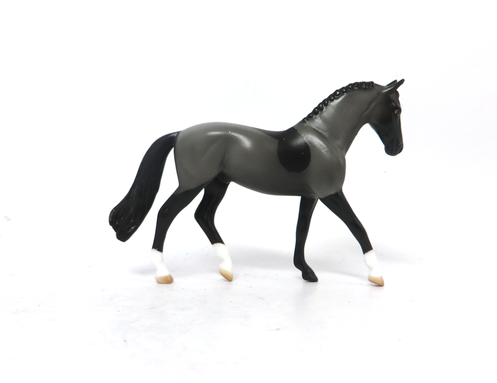 ZANE GREY -OOAK-BLACK BLANKET CLIPPED WARMBLOOD CHIP BY AUDREY DIXON EA19