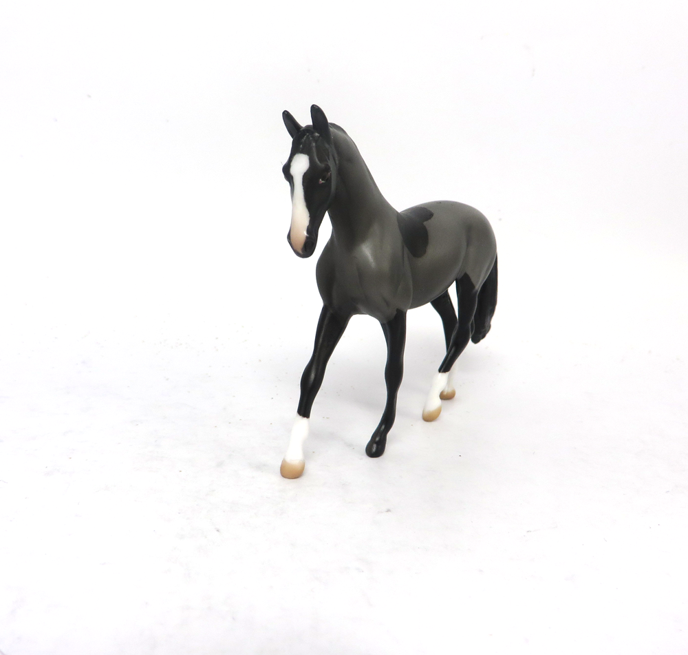 ZANE GREY -OOAK-BLACK BLANKET CLIPPED WARMBLOOD CHIP BY AUDREY DIXON EA19