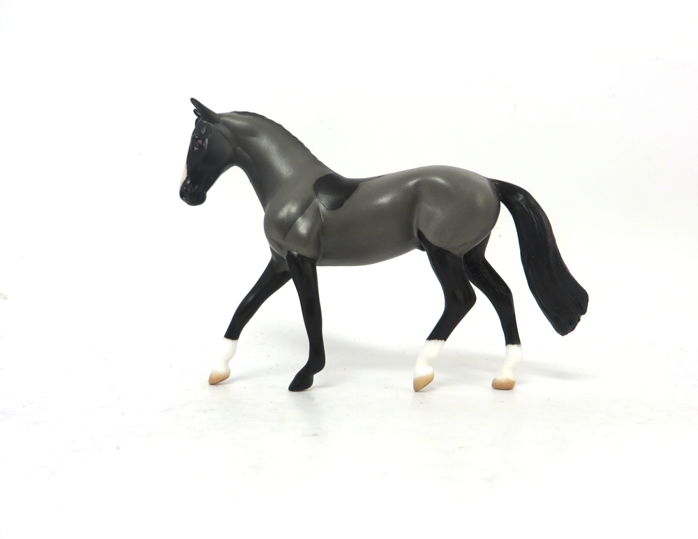 ZANE GREY -OOAK-BLACK BLANKET CLIPPED WARMBLOOD CHIP BY AUDREY DIXON EA19