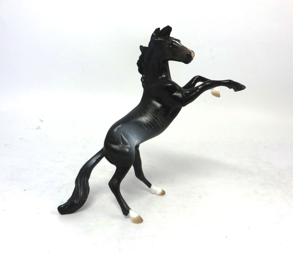 DOMINO - OOAK BLACK  RABICANO REARING CHIP 2-15-19