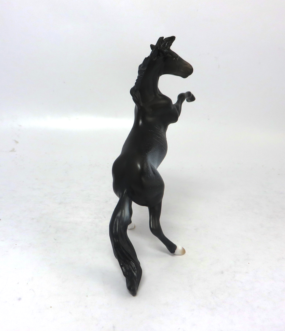 DOMINO - OOAK BLACK  RABICANO REARING CHIP 2-15-19