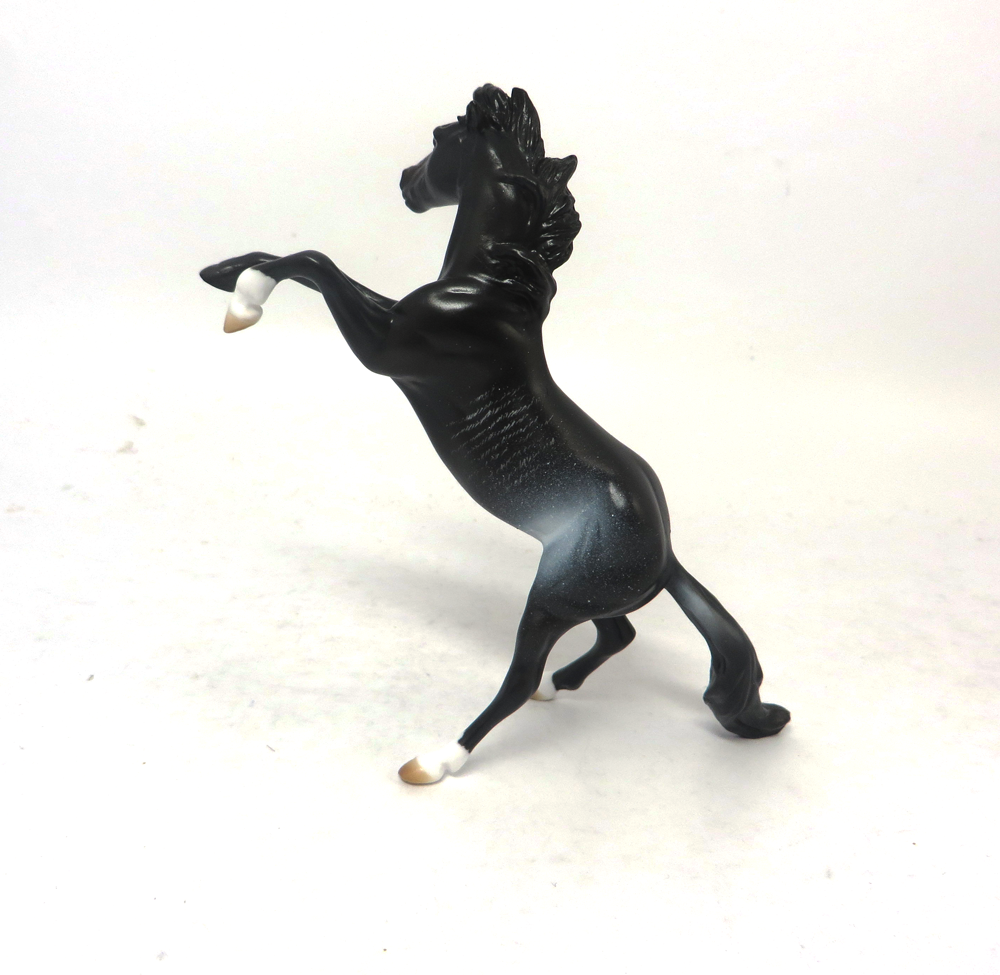 DOMINO - OOAK BLACK  RABICANO REARING CHIP 2-15-19