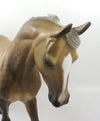 BLISSFUL-OOAK STAR DAPPLE BUCKSKIN THOROUGHBRED MODEL HORSE 12/27/19