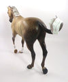 BLISSFUL-OOAK STAR DAPPLE BUCKSKIN THOROUGHBRED MODEL HORSE 12/27/19